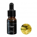 10 ml autoparf&uuml;&uuml;m hea l&otilde;hnaga kompaktne l&otilde;hnaeemaldus B