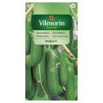 Kasvuhoonekurk Picolino F1 10 seemet - VILMORIN