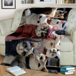 Soe ja hubane armas kassi mustriga flanelltekk diivanile, voodile, diivanile, kontorisse - pehme ja rahustav digitaaltr&uuml;kiga visketekk 30x40in