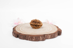 2 Mukhi Nepali Rudraksha helmes | Sertifitseeritud autentne Rudraksha vaimseks kasvuks | Ehtne p&uuml;ha helmes meditatsiooniks ja tervendamiseks, autor Navratan Gems pruun