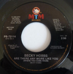7-tolline plaat BECKY HOBBS - Are There Any More Like You B72114 MTM Records 1988 USA Folk Kasutatud