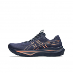 Asics GT-2000 14 Mitmek&uuml;lgsed Mugavad Treeningjooksukingad Meeste Toss Midnight-Blue 1011C056-401 39.5