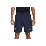 Nike Dri-FIT ADV FC Barcelona Match Koduvormi 24/25 Mugavad Jalgpallip&uuml;ksid Meeste alusp&uuml;ksid HM6603-410 XL
