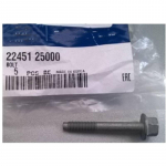 2245125000 For Hyundai Elantra i30 Sonata valve cover screw 5 pcs