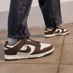 Nike Dunk Low Retro SE Pale Ivory Baroque Brown 42.5