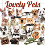 24 tk / komplekt Armas loom lemmiklooma koer kassi kunsti seinakleebis kodukaunistuseks kutsika seinakleebis