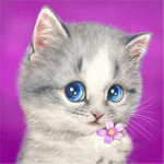 T&auml;ispuur &uuml;mmargune/ruudukujuline teemantmaaling kass 5D DIY teemanttikandid looma mosaiik ristpistes seinakunst k&auml;sitsi valmistatud kingitus Full Square 60x60CM tumeroosa v&auml;rv