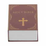 Safe Box Simulation Book Dictionary Parool Kingitus Sularaha S&auml;&auml;stke raha hoiukohver