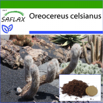 SAFLAX &ndash; Andide vanamees &ndash; 40 seemet &ndash; Potisubstraadiga paremaks kasvatamiseks &ndash; Oreocereus celsianus