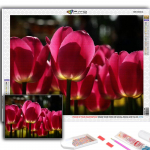 Teemantmaaling Lilled Tulbid Teemantmosaiik K&auml;sit&ouml;&ouml; Teemanttikandid Maalid Full Round 20X30CM