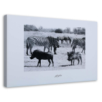 L&otilde;uenditr&uuml;kk Africa Savannah Animals 60x40 valge/must