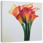 L&otilde;uenditr&uuml;kk Callas Red Flower 30x30 mitmev&auml;rviline