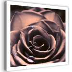 L&otilde;uenditr&uuml;kk Rose Flower Plant 30x30 roosa