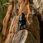 Maximus Gladiator Spike Kiiver