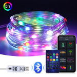 10M nutikas Bluetooth-juhtimine RGBIC USB LED-stringvalgusti p&uuml;hade pulmade j&otilde;uluvalgustus haldjavalgustid vanik Kodukaunistused 10M 100LEDs mitmev&auml;rviline