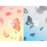 BTS &ndash; 4. minialbum [IN THE MOOD FOR LOVE PT.2] RANDOM VERSION