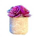 1 komplekt Fragrance Car Diffuser Auto Parf&uuml;&uuml;mi Parf&uuml;&uuml;mi Klamber