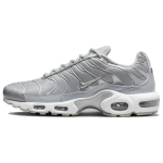 Nike Air Max Plus Metallik H&otilde;bedased Tossud Vabaajajalatsid FJ1012-095 40.5 gray