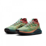 Nike Naiste React Pegasus Trail 4 GORE-TEX Alligaatorioranž Trance DJ7929-300 EU 36.5 m&uuml;ndi/roostes