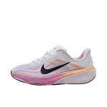 Nike Pegasus 42 V&otilde;rkprindiga Paelkinnitusega Hingavad Madalad Jooksujalatsid Meeste tossud IH2306-103 38.5 gray