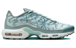 Nike Air Max Plus 'Origins Waterway' FV0394-300 38 gray