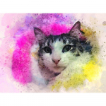 Teemantmaaling Kassiloomade pildid kividest Teemanttikandid Loomade kristallmaaling 20X30CM