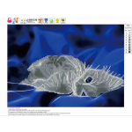 Huacani t&auml;isruudukujuline teemant 5D DIY teemantmaal Armas kass Teemanttikandid Ristpistes Rhinestone'i mosaiikmaal 30*40 cm