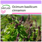 SAFLAX - Kaneeli basiilik - 200 seemet - Ocimum basilicum