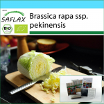 SAFLAX - Kinkekomplekt - Mahe - Hiina kapsas - Granaat - 40 seemet - Koos kinkekarbi, kaardi, etiketi ja potisubstraadiga - Brassica rapa