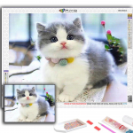 Teemantmaaling Armsad v&auml;ikesed loomad kass, koer, panda teemantmosaiik, teemanttikandid Full Round 20X30CM