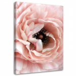 Feeby l&otilde;uenditr&uuml;kk, pastelne pojengi lill 40x60 roosa