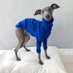Koerariided Kevad s&uuml;gis K&otilde;rge kaelarihm Kahe jalaga lemmikloomade riided Greyhound Whippet Turtleneck Pidžaamad Soojad riided Koeratarbed S