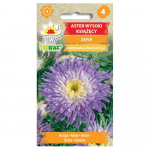 Aster tall lunar Marshmallow seemned 1g lill aedaF