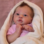 Reborn Baby Doll Jocy 48 cm k&auml;sitsi valmistatud simulatsiooninukk, veeni verejoon, n&auml;htav 3D nahast nukum&auml;nguasi 48cm