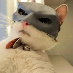 Bat- Cat - Maskbat Kassimask Kass S must