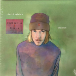 LP plaat DAVID SYLVIAN - Blemish 3876873 Samadhisound 2022 Euroopa Tants & Elektroonika
