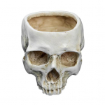 Kolju lillepott riputatav inimese kolju lillepott Halloweeni kommikarp Gooti istutusn&otilde;u sukulentidele Sise- ja v&auml;li dekoratsioon valge