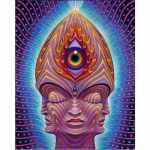 5d DIY teemantmaal Ilus h&auml;mmastav maal t&auml;isringi puurmosaiik ristpistes teemanttikandid 20X30CM