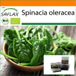 SAFLAX - Aed kotis - Orgaaniline - Spinat - Matador - 300 seemet - Substraadiga sobivas p&uuml;stises kotis - Spinacia oleracea