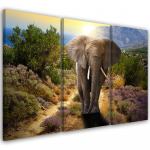 Kolmeosalise pildiga l&otilde;uenditr&uuml;kk Elephant Safari Africa Nature 60x40 mitmev&auml;rviline