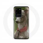 &Uuml;mbris Samsung Galaxy S20 Ultra Greyhound Greyhound jaoks