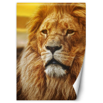 Tapeet L&otilde;vide kuningas 100x140 oranž