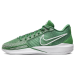 Nike Sabrina 1 TB &Otilde;unarohelised Naiste Tennised Valge FQ3391-300 40