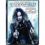 Allmaailm: L&otilde;plik kogu [DVD PIIRKOND:1 USA] Ac-3/Dolby Digital, Dolby, Dubleeritud, Subtiitritega, Laiekraan USA import