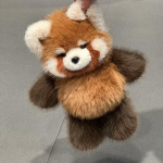 Kawaii pesukaru ja panda pehmed m&auml;nguasjad, pl&uuml;&uuml;sipadjad, pehmed m&auml;nguasjad, kohevad, j&otilde;ulukingitused, dekoratsioonid, nukud, t&auml;iskasvanute kingitus 55cm brown