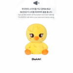 Eeltellimus Stray Kids RUN IT SEOUL SKZOO Palus Tantsiv versioon. BbokAri