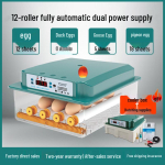 Automaatne kodune inkubaator kanade, partide, hanede, tuvide munade jaoks 12 eggs, dual power