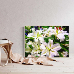 HUACAN 5D DIY T&auml;ispuuriga teemantmaaling lille pealuu ristpistes tikandid 20*30 cm