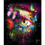 Butterfly Eyes Teemantmaaling Mosaiik Full Drill Round Teemanttikandid Pildid 20X30CM