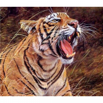 Ristpistes DIY Teemanttikandid Metsik Tiger T&auml;is&uuml;mmargune Teemantmaaling Mosaiik Kodukaunistus 20X30CM